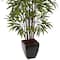 5ft. Potted Bamboo Silk Tree